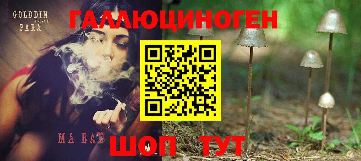 Галлюциногенные грибы ЛСД Кувандык